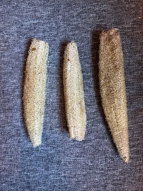 Homegrown Loofa sponges • natural